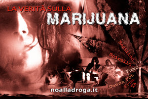 La Verità sulla Marijuana La Verità sulla Marijuana
